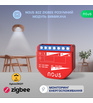 Розумний ZigBee перемикач Nous B2Z