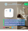 Розумний ZigBee датчик чадного газу NOUS E12