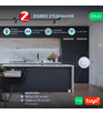 Розумний ZigBee шлюз Nous E1